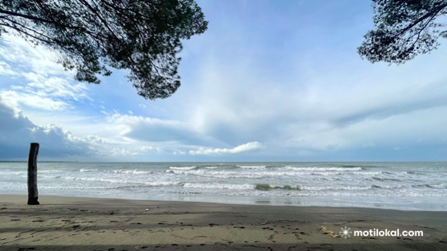 Reshje shiu e bore sot dhe fundjavë në Shqipëri