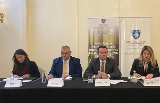 Task Forca për Mbrojtjen e Pyjeve miratoi Planin e Veprimit për parandalimin e prerjeve ilegale