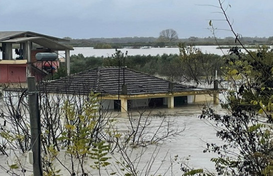 Dalja e lumenjve nga shtrati/ Dhjetëra shtëpi dhe qindra hektarë tokë bujqësore e përmbytur