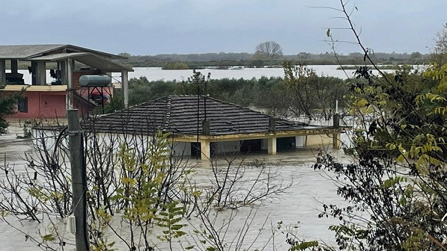 Dalja e lumenjve nga shtrati/ Dhjetëra shtëpi dhe qindra hektarë tokë bujqësore e përmbytur
