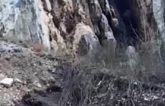 Rrëqebulli i Ballkanit filmohet në Parkun Natyror Korab-Koritnik [Video]