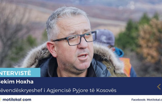 Prerja ilegale dhe zjarret në pyje vazhdon të jetë problem në Kosovë