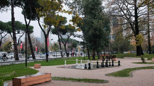 Java nis me reshje shiu në Shqipëri