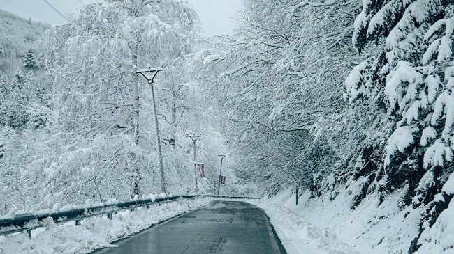 Mot i ftohtë në Shqipëri