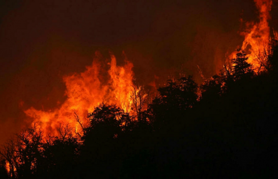 Temperaturat e larta shkaktojnë zjarre në Argjentinë
