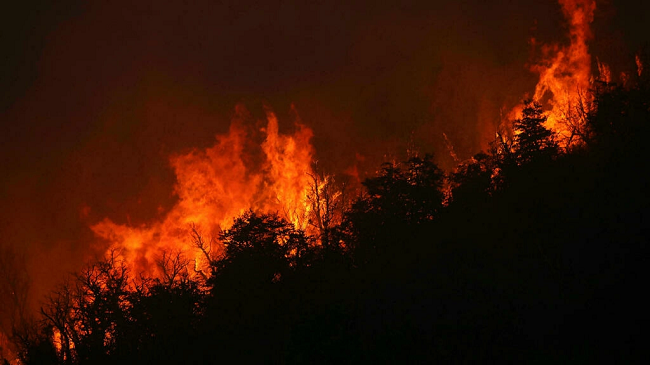 Temperaturat e larta shkaktojnë zjarre në Argjentinë