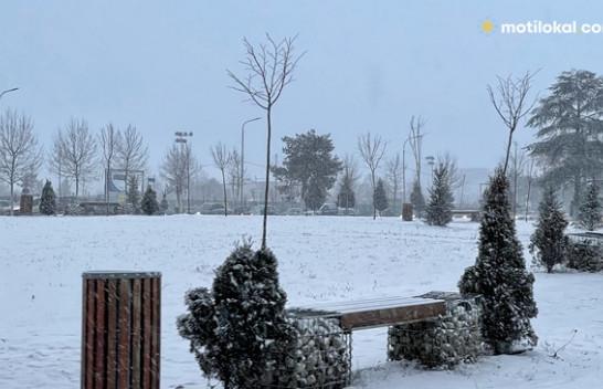 Mot i acartë në Kosovë