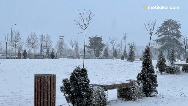 Mot i acartë në Kosovë
