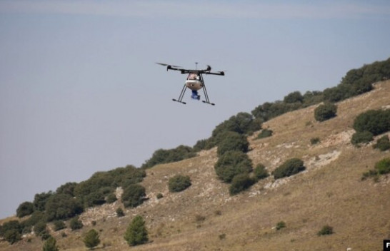 Spanjë, projekt pyllëzimi për të frenuar zgjerimin e shkretëtirës