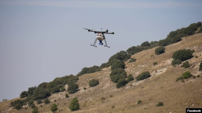 Spanjë, projekt pyllëzimi për të frenuar zgjerimin e shkretëtirës