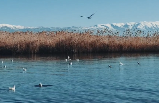 Parashikimi i motit për sot dhe të enjten në Maqedoni