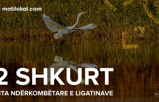 Dita Ndërkombëtare e Ligatinave