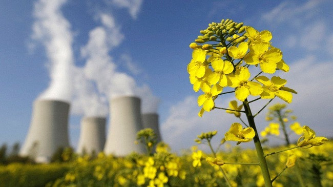 BE-ja e konsideron energjinë bërthamore dhe gazin si energji të gjelbër