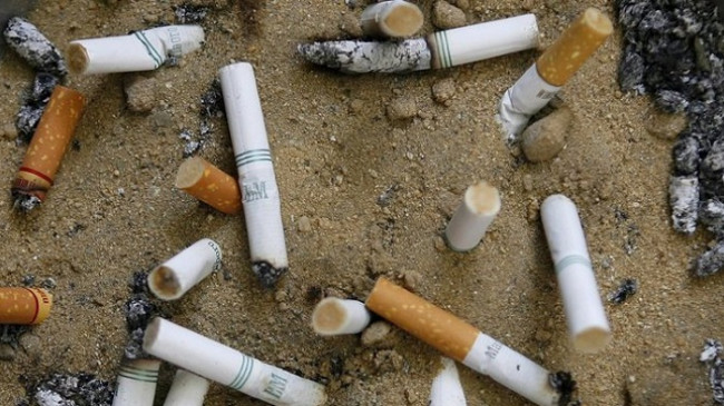 766 mijë ton bishta cigaresh hidhen çdo vit në botë