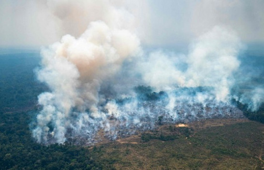 I nxehti rekord shkakton zjarre në Amazonën e Kolumbisë