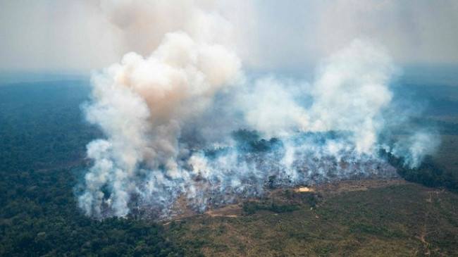 I nxehti rekord shkakton zjarre në Amazonën e Kolumbisë