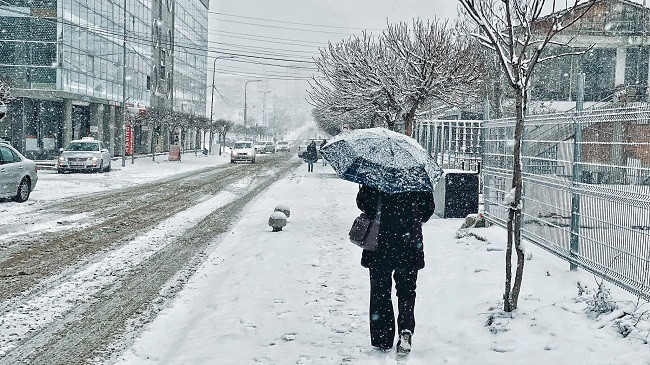 Java fillon me reshje shiu e bore në Kosovë