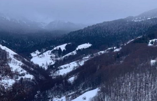 Reshje shiu dhe bore në Mal të Zi