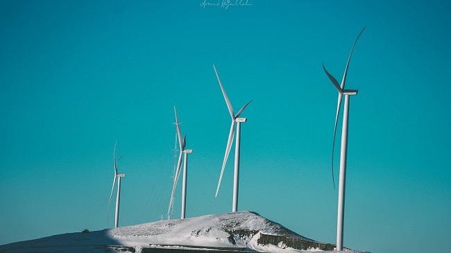 Priten mbi 6 milion euro investime në sektorin e energjisë së ripërtëritshme në Kosovë