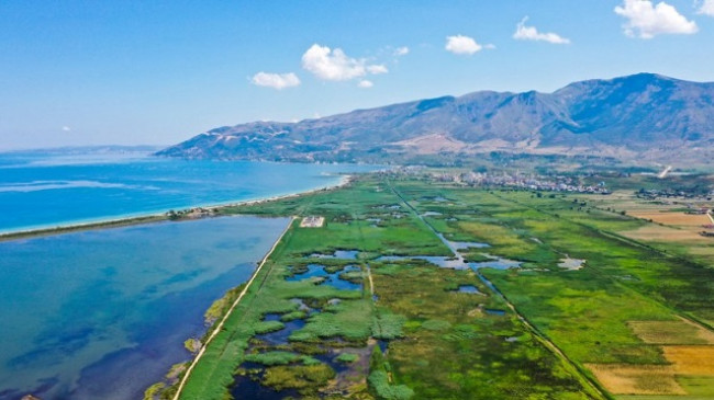 Biodiversiteti dhe problematikat e tij në bregdetin shqiptar