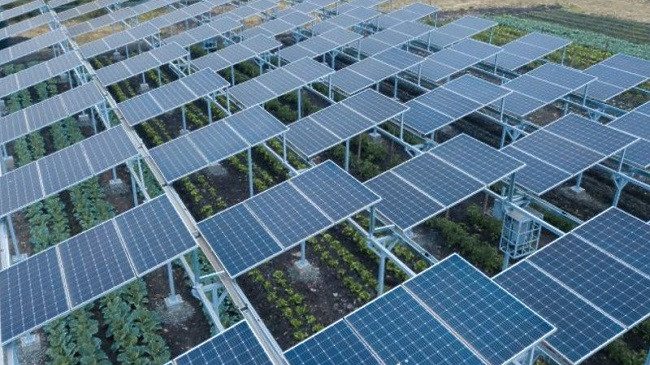 Kenia po teston panelet diellore që do të prodhojnë energji dhe ushqim
