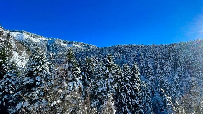 Parashikimi i meteorologëve për sot dhe nesër në Shqipëri