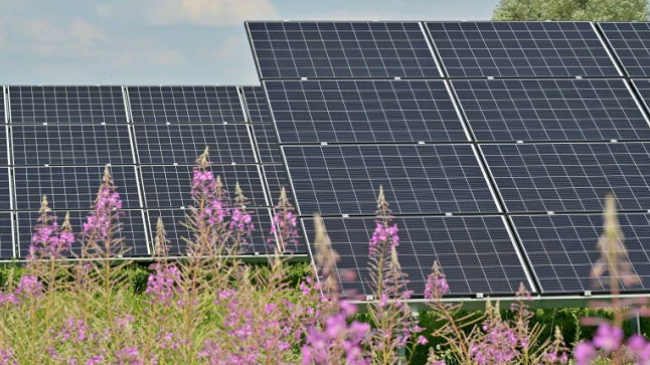 Nisën në Shqipëri dy projekte të energjisë diellore me kapacitet prej 150 MW në total
