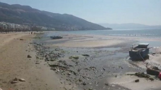Ndodh edhe në Vlorë, fenomeni i pazakontë i tërheqjes së detit