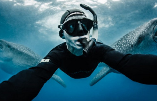 'Më pak se një dekadë para se të humbasim planetin': Paralajmërim i një fotografi detar