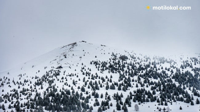 Surprizat e motit, nesër shi dhe borë në Shqipëri dhe Kosovë