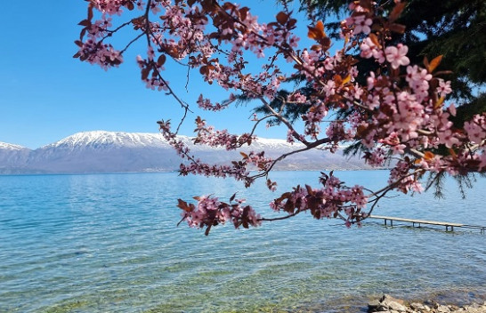 Rikthehet dielli! Java nis me mot të qëndrueshëm dhe rritje temperaturash në Shqipëri