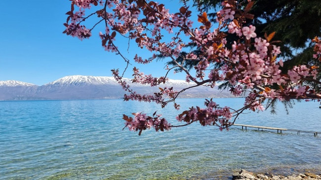 Rikthehet dielli! Java nis me mot të qëndrueshëm dhe rritje temperaturash në Shqipëri