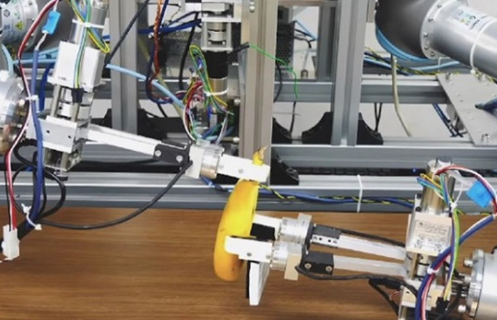 Shkencëtarët nga Tokio prezantuan një robot që mund të qërojë një banane [Video]