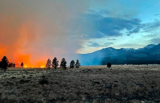 Zjarri pyjor në Arizona, qindra të evakuuar nga shtëpitë e tyre