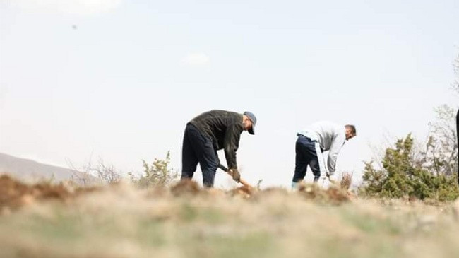 Mbillen 33 mijë fidanëve në Komunën e Dragashit