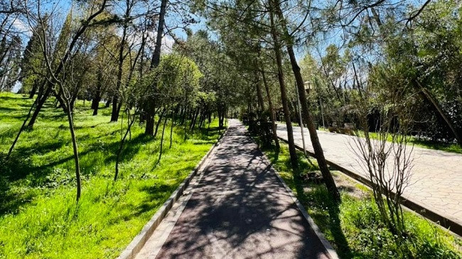Mot i ngrohtë dhe diell në Shqipëri