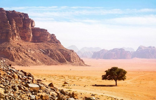 A mundet mbjellja e pemëve të parandalojë shkretëtirëzimin në Jordani?