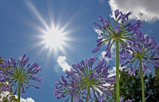 Diell dhe rritje temperaturash, parashikimi i motit për sot dhe nesër në Maqedoni