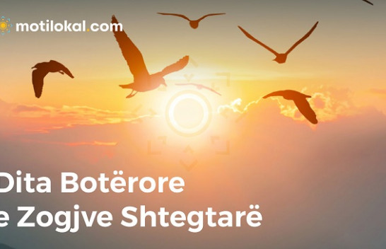 Dita Botërore e Zogjve Shtegtarë - Ndotja e dritave kërcënon zogjtë në mbarë botën