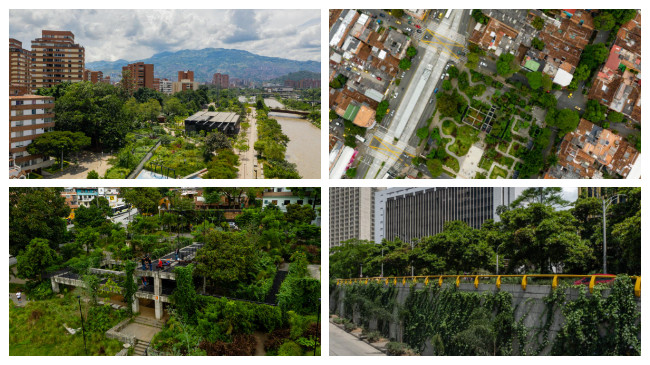 Kolumbi, qyteti Medellin synon të thyejë rekordin botëror Guinness me gjelbërimin urban