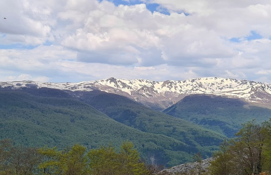 Shi, breshër e shtrëngata në Shqipëri