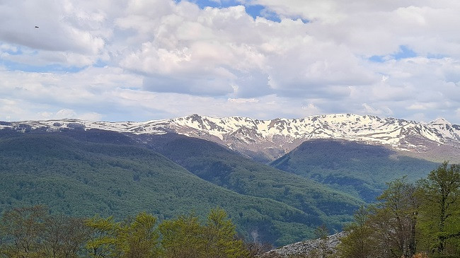 Shi, breshër e shtrëngata në Shqipëri