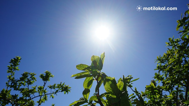 Diell e temperatura të larta në Kosovë