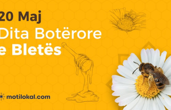 Sot Dita Botërore e Bletës