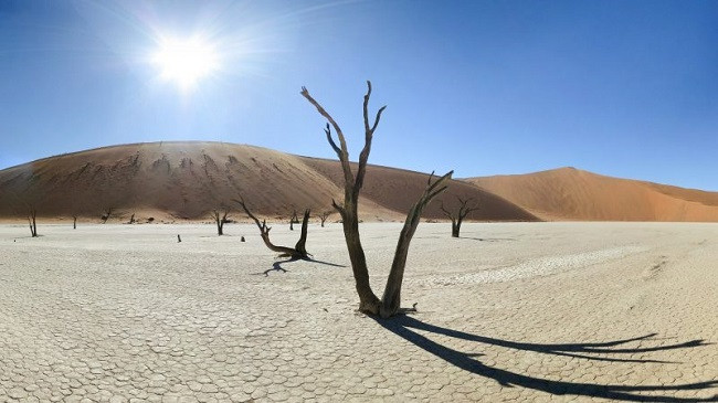 Namibia vjen në Evropë për të shitur diellin e saj, projekti ambicioz që mund të zëvendësojë gazin rus