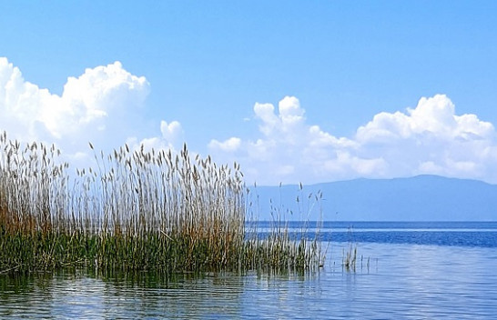 Parashikimi i motit për këtë javë në Maqedoninë Veriore