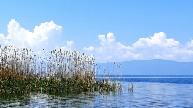 Parashikimi i motit për këtë javë në Maqedoninë Veriore