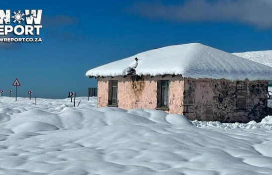 Bie borë në Afrikën e Jugut [Foto]