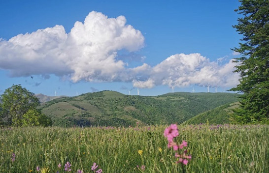 Mot tipik veror në Kosovë