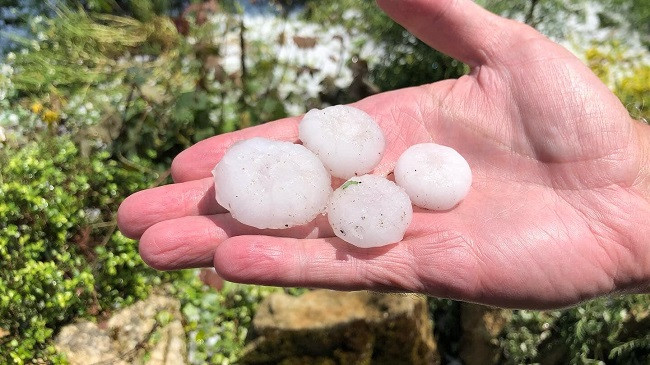 Franca goditet nga stuhi shiu dhe breshëri, humb jetën një grua